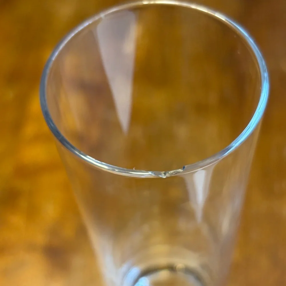 Crate & Barrel Champagne Flutes READ